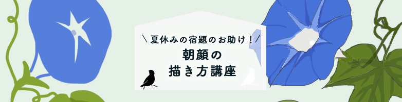 朝顔の描き方
