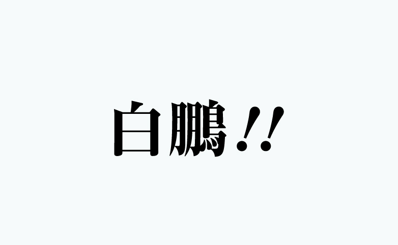 白鵬!!