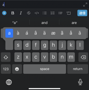 iPhone入力画面