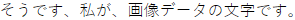 そうです、私が、画像データの文字です。