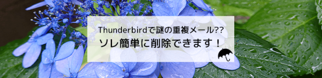 Thunderbirdで謎の重複メール？？ソレ簡単に削除できます！
