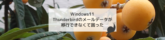 Windows11 Thunderbirdのメールデータが移行できなくて困った