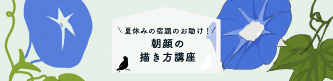 朝顔の描き方