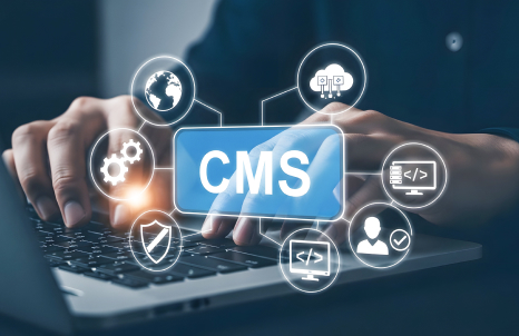 CMS保守管理